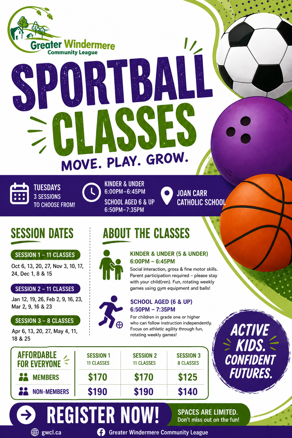 Sportball Program